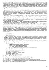 Helenistinė civilizacija 6 puslapis