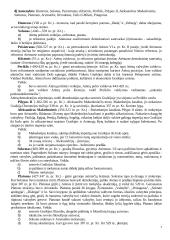 Helenistinė civilizacija 7 puslapis