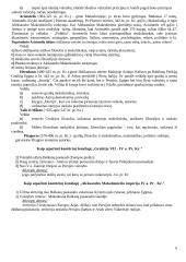 Helenistinė civilizacija 8 puslapis