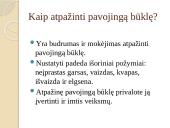 Būtinoji medicinos pagalba. Skaidrės 11 puslapis
