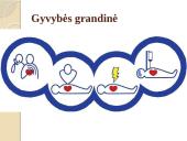 Būtinoji medicinos pagalba. Skaidrės 17 puslapis