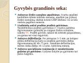 Būtinoji medicinos pagalba. Skaidrės 19 puslapis