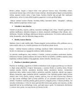 Konstravimas iš buitinių likučių vaikų darželyje 6 puslapis