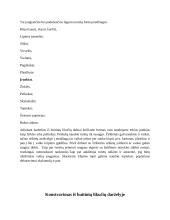 Konstravimas iš buitinių likučių vaikų darželyje 8 puslapis