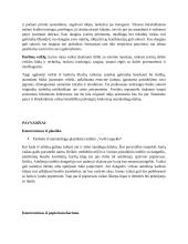 Konstravimas iš buitinių likučių vaikų darželyje 10 puslapis