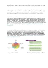 Žaidimų vaidmuo pradiniame ugdyme: mokymasis per patyrimą 4 puslapis
