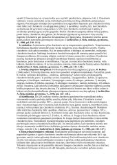 Individualios asmenybės savybės 3 puslapis