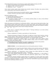 Informacija ir informatika 4 puslapis