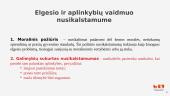 Nusikalstamumo prevencija per aplinkos dizainą 4 puslapis