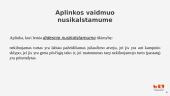 Nusikalstamumo prevencija per aplinkos dizainą 5 puslapis