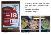 Nepilnamečių nusikalstamumas ir jo prevencija (skaidrės) 17 puslapis