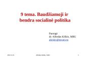 Baudžiamoji ir bendra socialinė politika