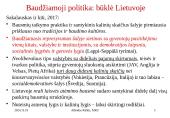 Baudžiamoji ir bendra socialinė politika 16 puslapis
