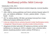 Baudžiamoji ir bendra socialinė politika 4 puslapis