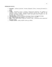 Informacijos ir komunikacijos technologijos 11 puslapis