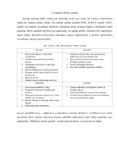 Finansinės įmonės UAB ,,Žemtiekimas“ strategijos suformavimas ir pagrindimas 10 puslapis