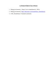 Finansinės įmonės UAB ,,Žemtiekimas“ strategijos suformavimas ir pagrindimas 12 puslapis