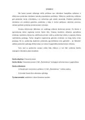 Finansinės įmonės UAB ,,Žemtiekimas“ strategijos suformavimas ir pagrindimas 2 puslapis