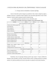 Finansinės įmonės UAB ,,Žemtiekimas“ strategijos suformavimas ir pagrindimas 3 puslapis