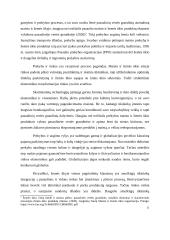 Žemės ūkio technikos pardavimų proceso valdymo gerinimas 10 puslapis