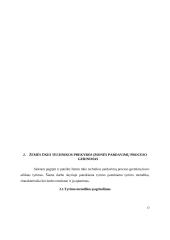 Žemės ūkio technikos pardavimų proceso valdymo gerinimas 12 puslapis