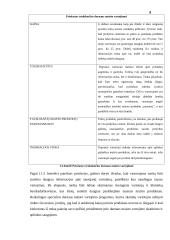 Darnaus maisto vartojimas ir jo skatinimas Lietuvoje 7 puslapis