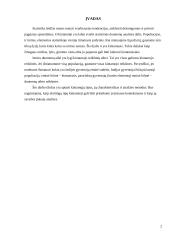 Duomenų (kintamųjų) charakteristikos 2 puslapis