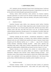 Duomenų (kintamųjų) charakteristikos 3 puslapis