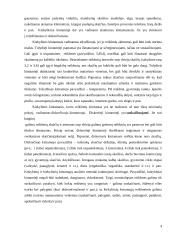 Duomenų (kintamųjų) charakteristikos 4 puslapis