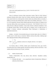 Duomenų (kintamųjų) charakteristikos 7 puslapis