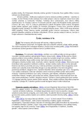 Įvairios istorijos temos 11 puslapis