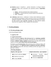 Prievolių teisė, sutarčių rūšys 14 puslapis