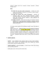 Prievolių teisė, sutarčių rūšys 20 puslapis