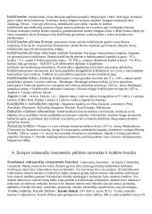 Išsamus pasiruošimas istorijos egzaminui 4 puslapis