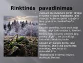 Juozas Aputis ,,Gegužė ant nulūžusio beržo’’  4 puslapis