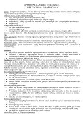 Įtvarų rūšys traumoms 2 puslapis