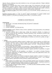 Įtvarų rūšys traumoms 4 puslapis