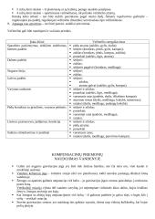 Įtvarų rūšys traumoms 6 puslapis