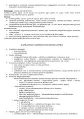 Įtvarų rūšys traumoms 9 puslapis