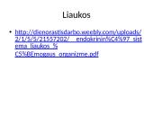 Homeostazė. Vidinė organizmo terpė 12 puslapis