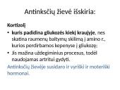 Organizmui būtina pastovi gliukozės koncentracija 10 puslapis