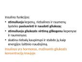 Organizmui būtina pastovi gliukozės koncentracija 2 puslapis