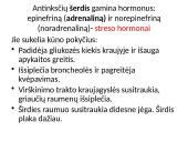 Organizmui būtina pastovi gliukozės koncentracija 9 puslapis