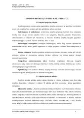 Statybos projektų valdymas. Praktinis darbas 3 puslapis