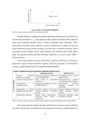 Tarptautinė ir globali prekyba ir logistika 13 puslapis