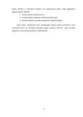 Tarptautinė ir globali prekyba ir logistika 16 puslapis