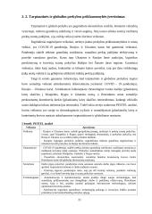 Tarptautinė ir globali prekyba ir logistika 20 puslapis