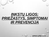 Inkstų ligos: priežastys, simptomai ir prevencija
