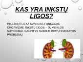 Inkstų ligos: priežastys, simptomai ir prevencija 2 puslapis