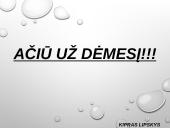 Inkstų ligos: priežastys, simptomai ir prevencija 8 puslapis